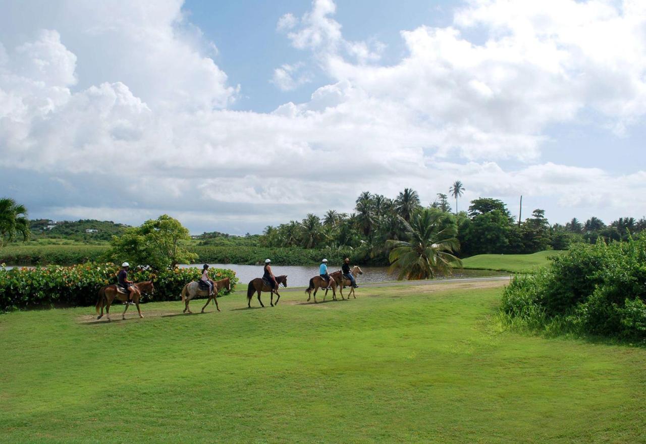 Wyndham Palmas Beach And Golf Boutique Resort Humacao Eksteriør billede